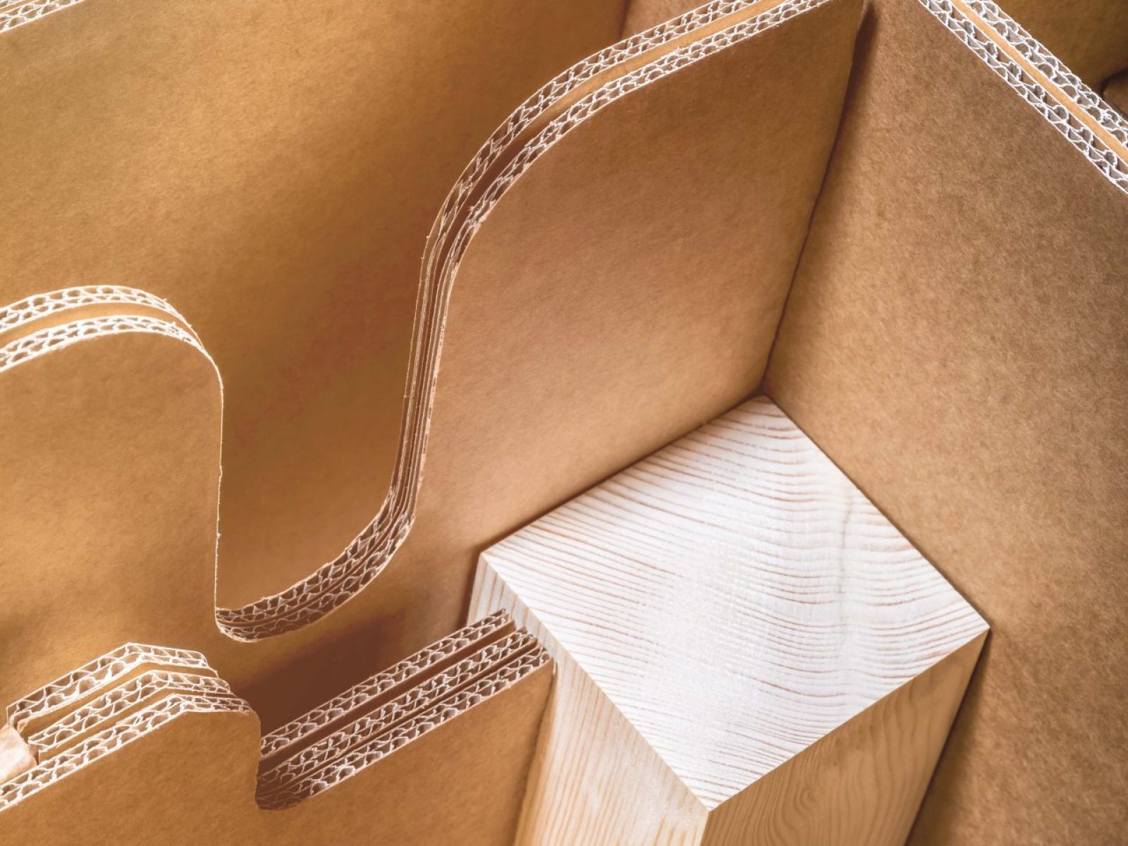 Detail einer Kartonverpackung mit passgenauem Holzeinsatz