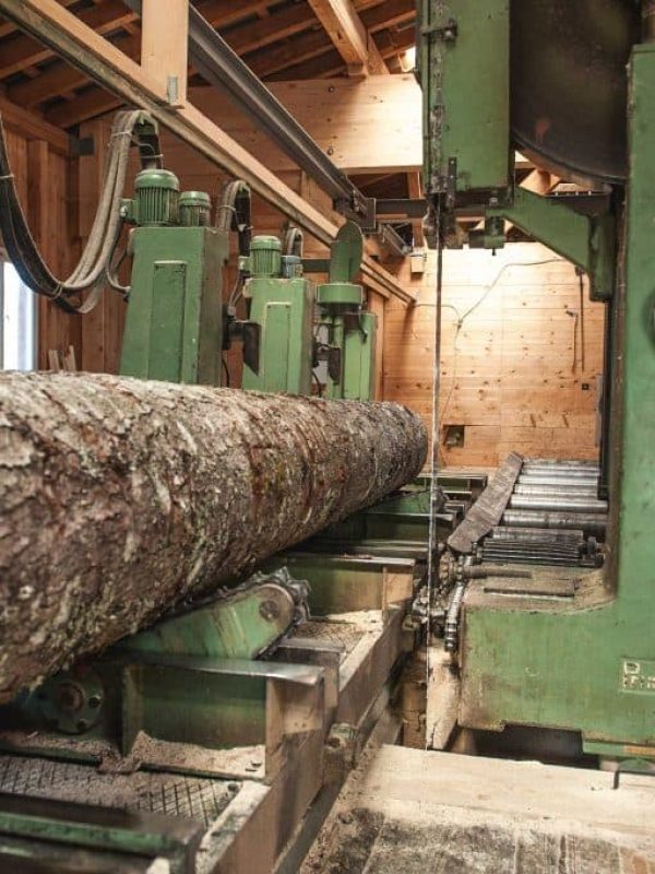 Baumstamm bei der Verarbeitung im historischen Sägewerk